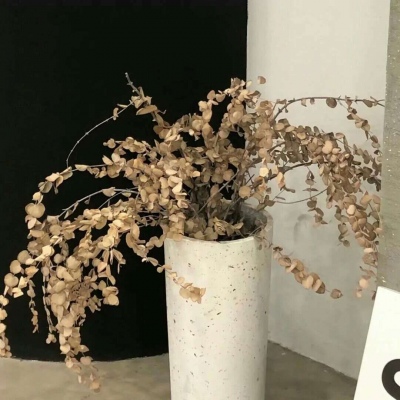 兽设Q版设计实用教程Furry群